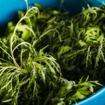 Neem: Planta miraculoasă pentru detoxifiere și sănătatea pielii